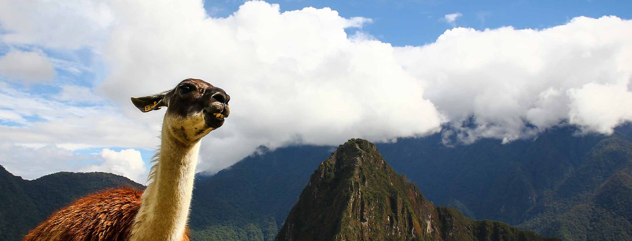 Culinary Adventure Peru 11 Days