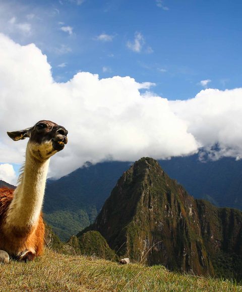 Culinary Adventure Peru 11 Days