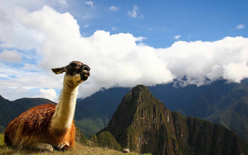 Culinary Adventure Peru 11 Days