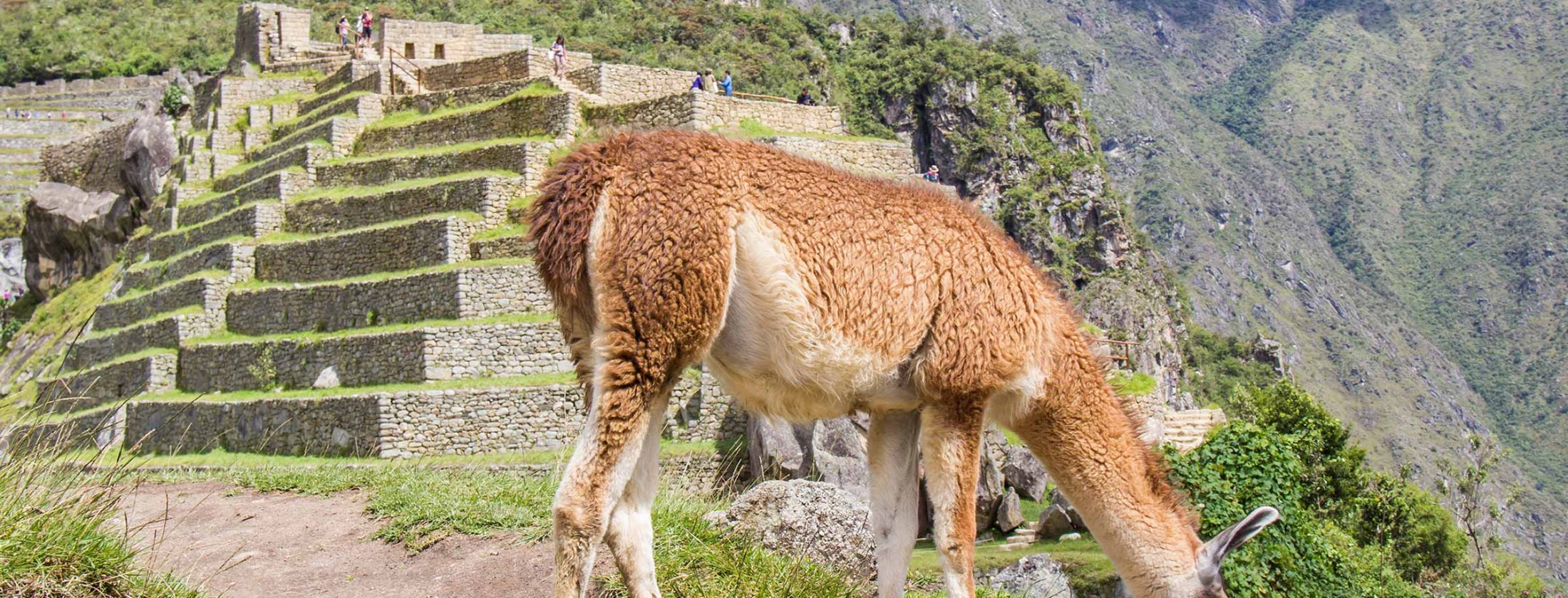 Exploring Peru in 9 Days