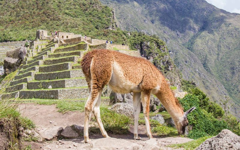 Exploring Peru in 9 Days