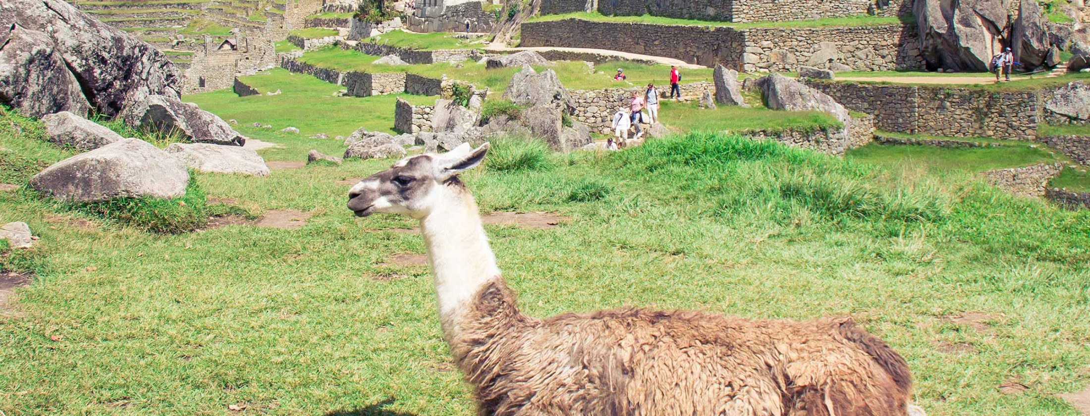 Exploring Peru in 9 Days