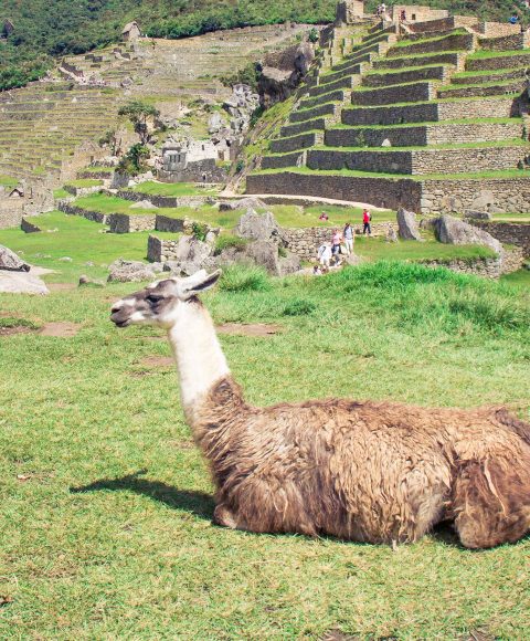 Exploring Peru in 9 Days