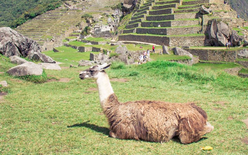 Exploring Peru in 9 Days